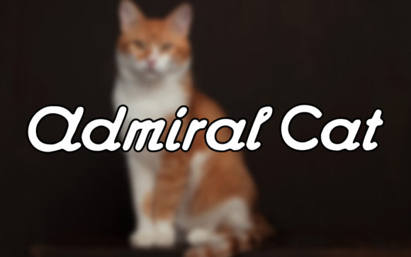 Admiral Cat: A Versatile Font for Creative Projects