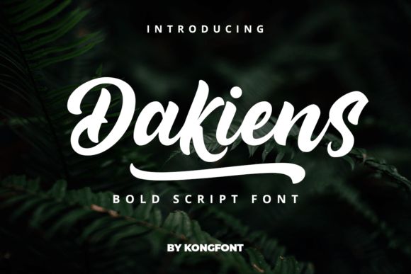 Enhance Your Web Design with Dakiens Font