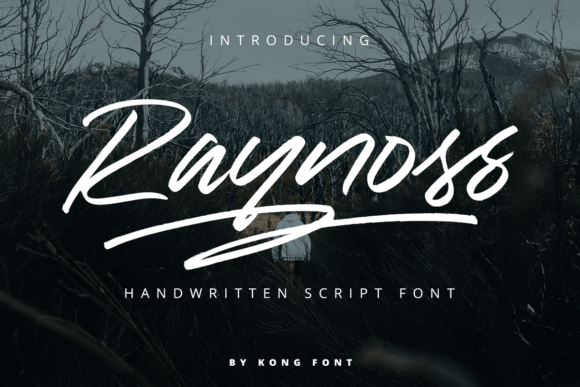 Raynoss: A Playful Handwritten Font for Modern Web Design